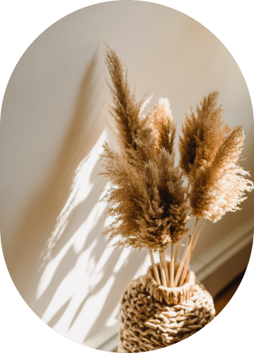 Parlor Palm